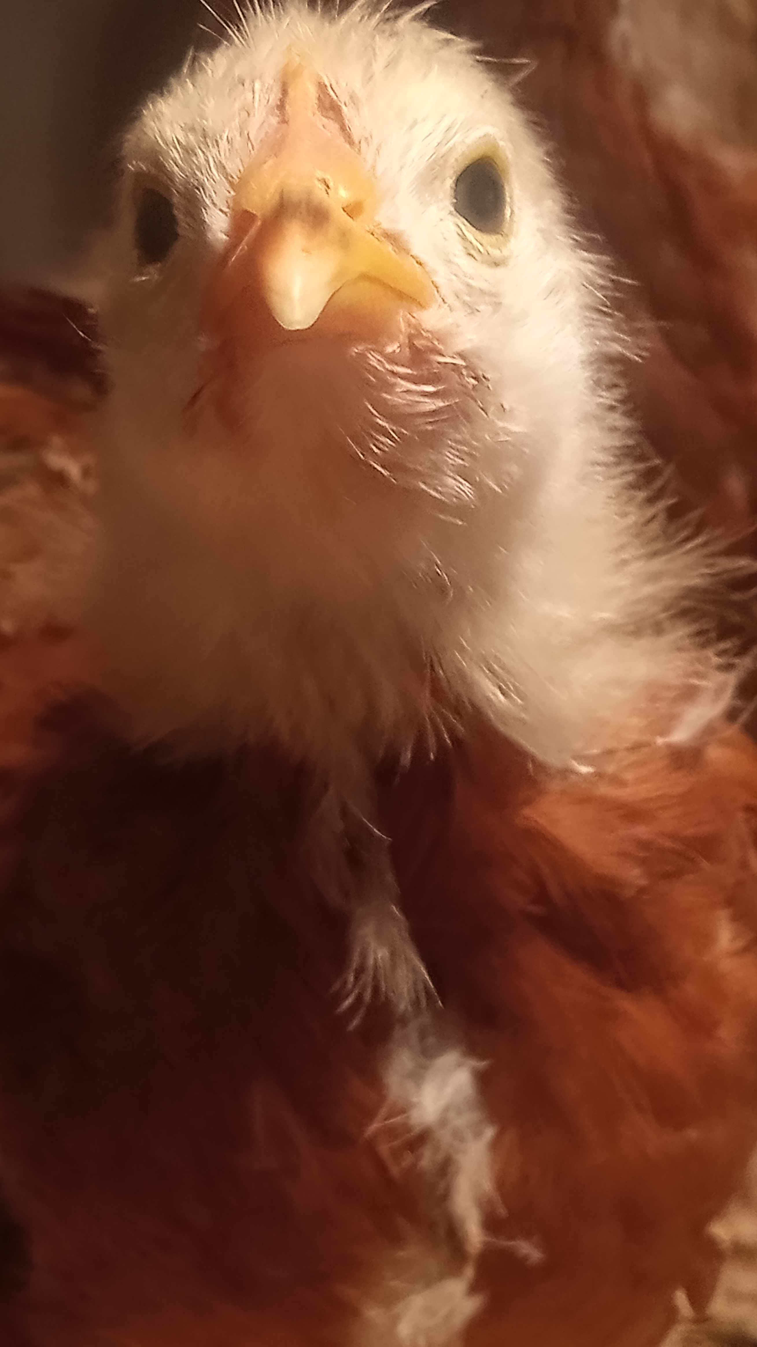 Employee Four